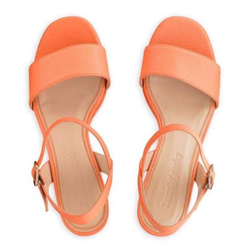Voguevein.shop30b80961d8 3