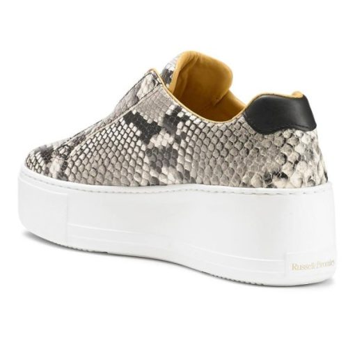 Voguevein.shop3e5cff6d60 4