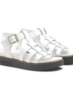 Voguevein.shop3f70bfae2e 2
