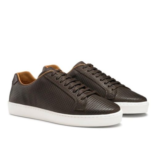 Voguevein.shop56c9d4e318 2