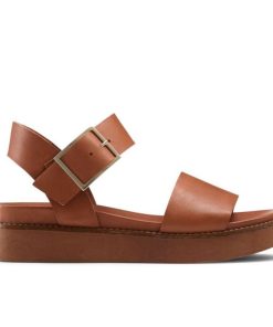 Voguevein.shop5a5cde08f7 1
