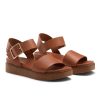 Voguevein.shop5a5cde08f7 2