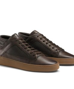 Voguevein.shop767d36047c 2
