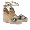 Voguevein.shop794a383849 2
