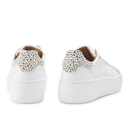 Voguevein.shop7c63988636 4