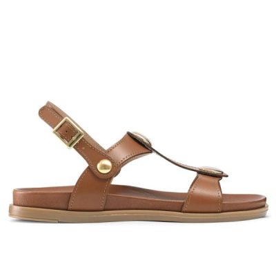 Voguevein.shop7faf26854f 1