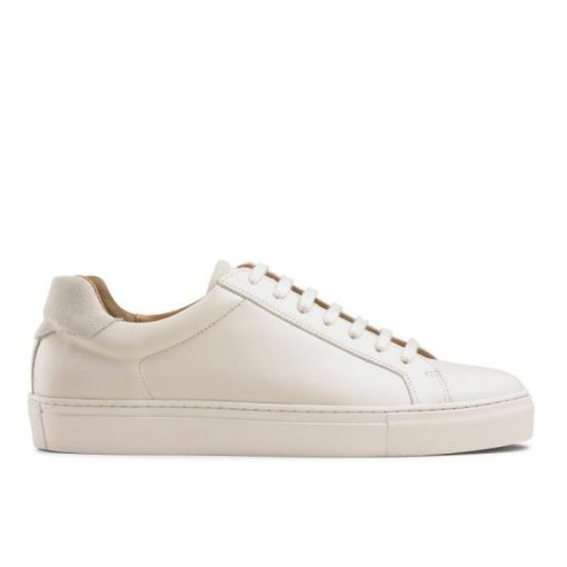 Voguevein.shop8609ad7d73 1