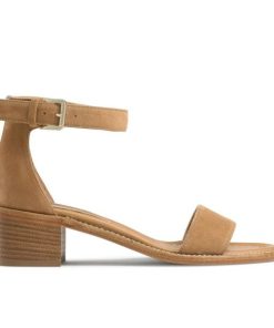 Voguevein.shop8df0a7e5c6 1