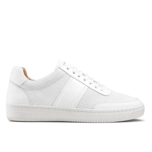 Voguevein.shop990f28b16b 1