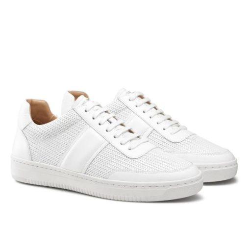 Voguevein.shop990f28b16b 2