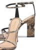 Voguevein.shopc54485b8f8 4