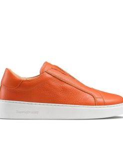 Voguevein.shopd120f801af 1