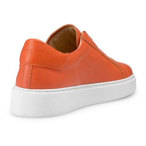 Voguevein.shopd120f801af 4