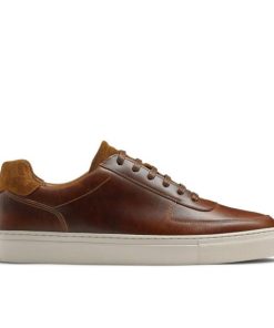 Voguevein.shopecf30f1272 1