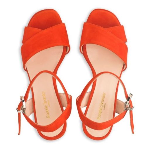 Voguevein.shopef6b06bb66 3