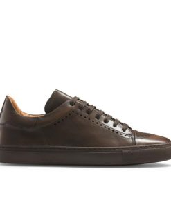Voguevein.shopff1702cbca 1